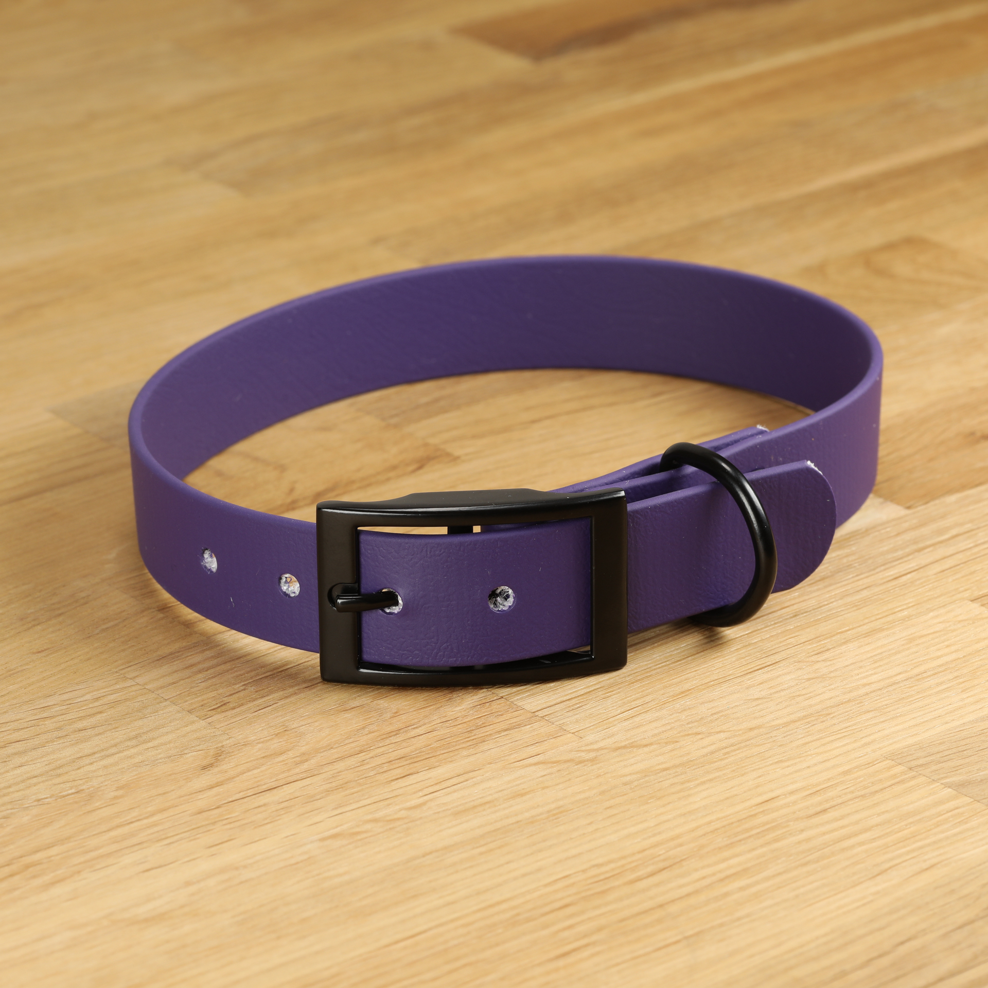 Hundehalsband Und Leine Aus BioThane – Mittlere Breite, Länge 40-45 Cm, Farbe Amethyst, Wasserfest