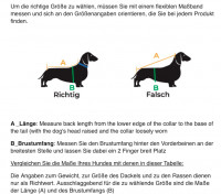 Preview: Freddie Grey dog jumper Preview: Freddie Grey dog jumper