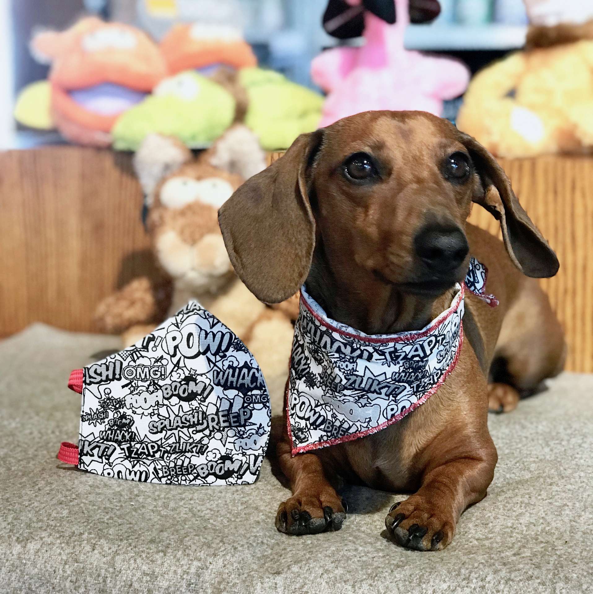 HundeHalstuch &quot;Boom&quot; lucka.dog