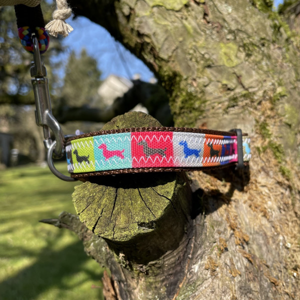 Dog collar "Dachshund" canvas Rainbow