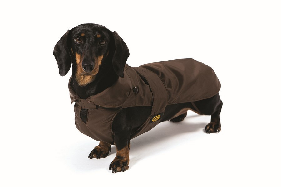 Dog Rainscoat Red with Teddy Lining