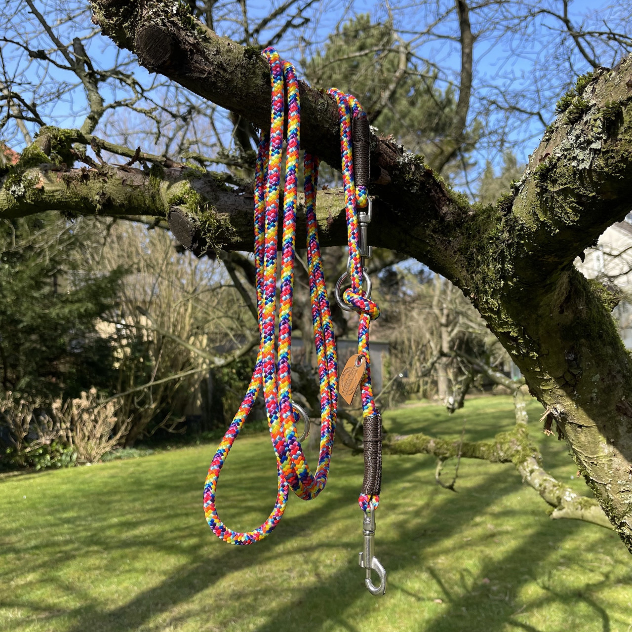 Dog Leash Rope Rainbow