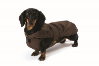 Preview: Dog Rainscoat Red with Teddy Lining Preview: Dog Rainscoat Red with Teddy Lining