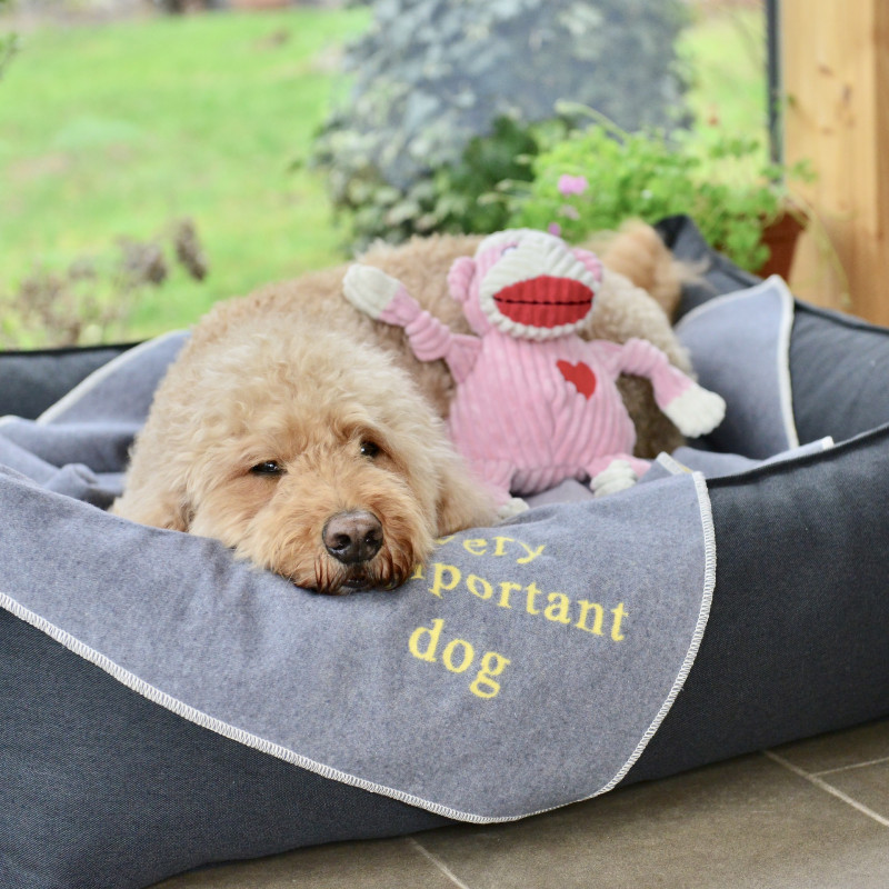 David Fussenegger Decken Schlafen lucka.dog