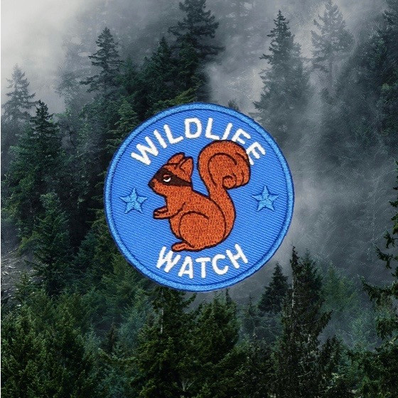 Wildlife Watch