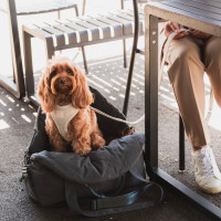 Preview: FuzzYard Life Multipurpose Carrier & Car Seat - Slate grey Preview: FuzzYard Life Multipurpose Carrier & Car Seat - Slate grey