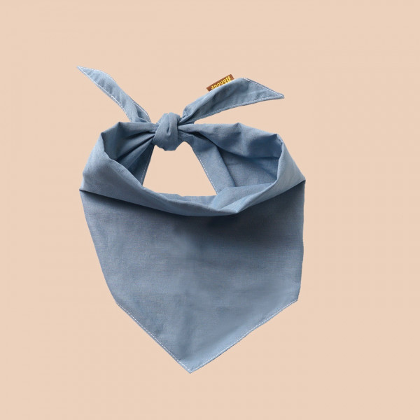 Sky Blue Scout Bandana for dogs
