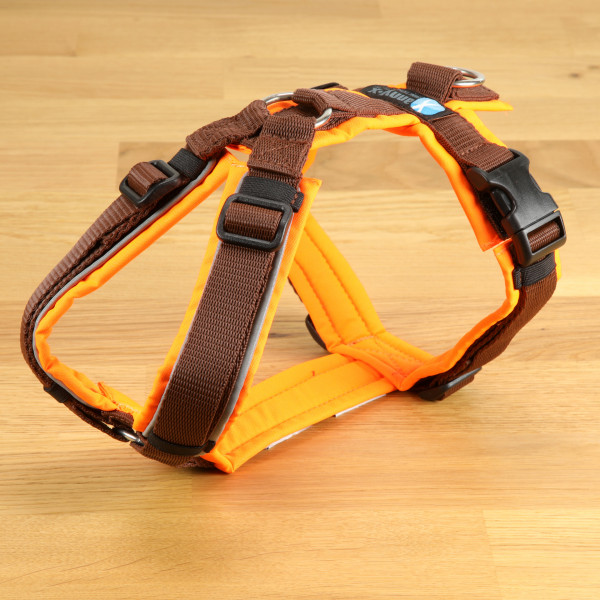 Breast Harness Protect illuminated orange/brown