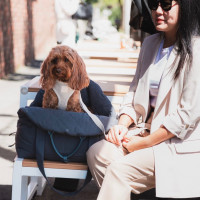 Preview: FuzzYard Life Multipurpose Carrier & Car Seat - Slate grey Preview: FuzzYard Life Multipurpose Carrier & Car Seat - Slate grey