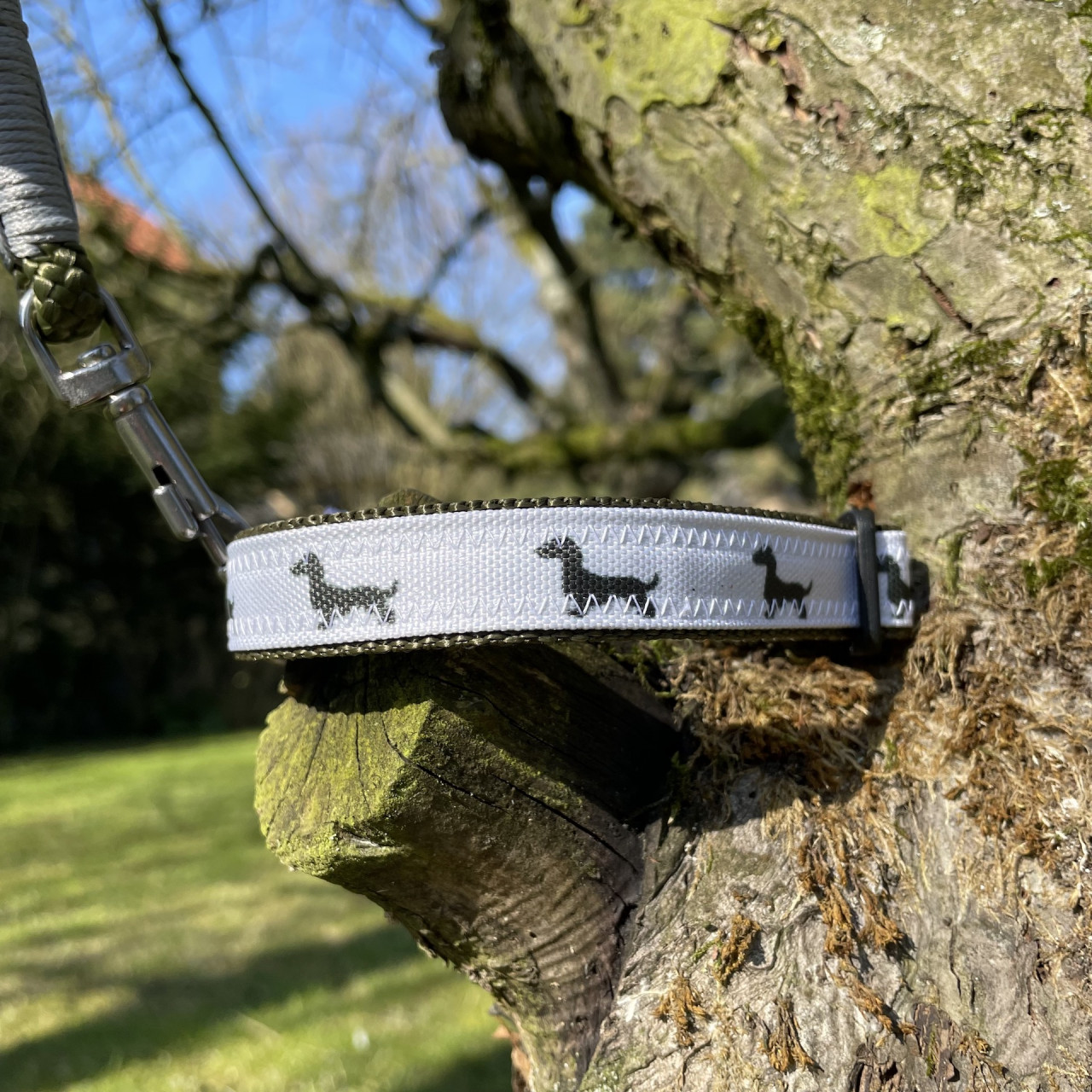 Dog collar &quot;Dachshund&quot; canvas olive &amp; white