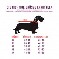Preview: Dog Rainscoat Red with Teddy Lining Preview: Dog Rainscoat Red with Teddy Lining