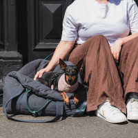 Preview: FuzzYard Life Multipurpose Carrier & Car Seat - Slate grey Preview: FuzzYard Life Multipurpose Carrier & Car Seat - Slate grey